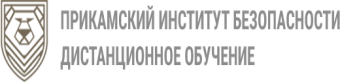 Прикамский институт безопасности